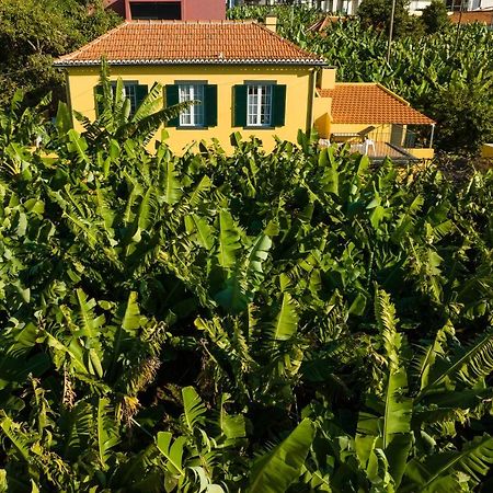 Casa D'Avo Celina Villa Funchal  Eksteriør bilde
