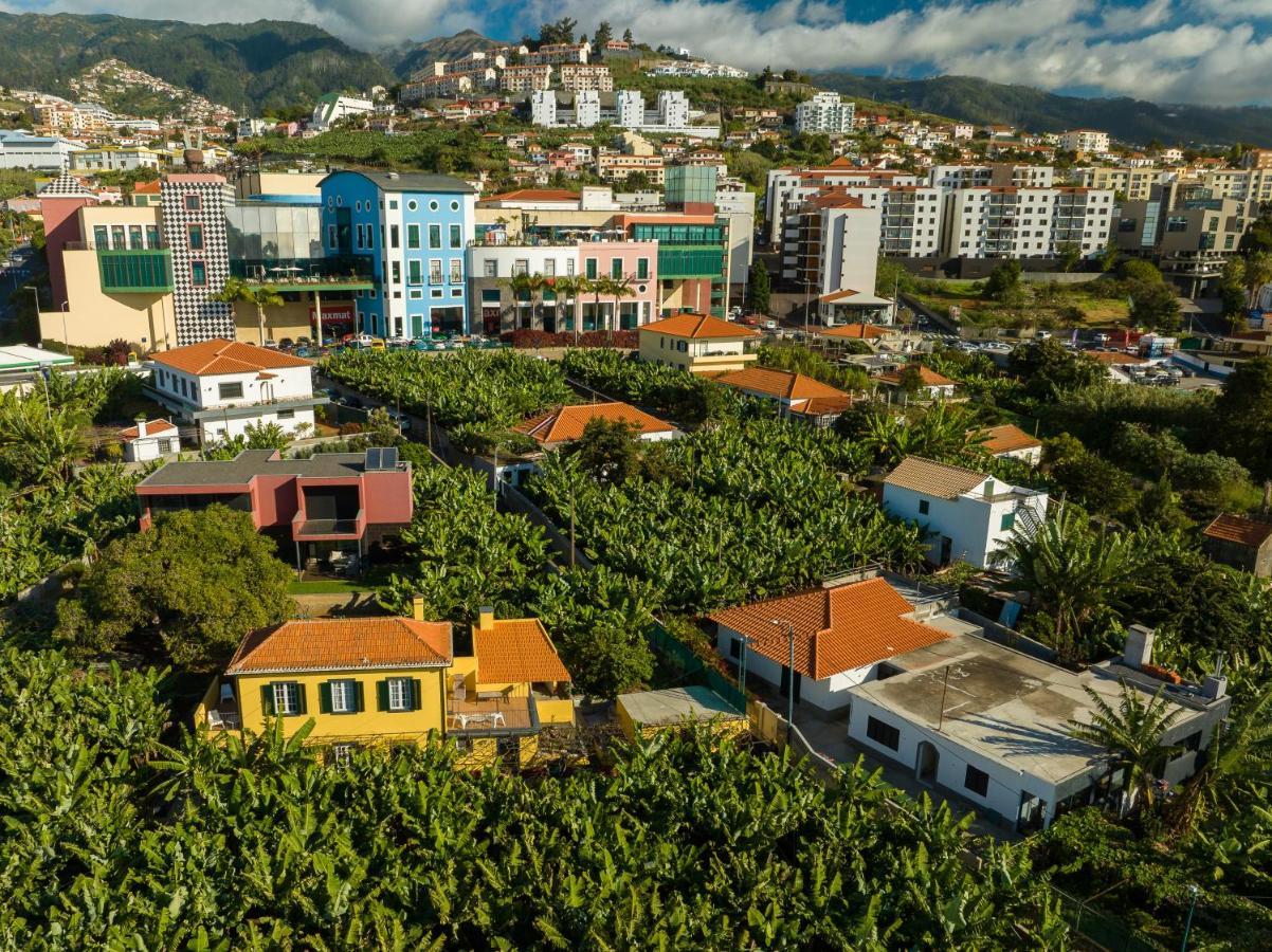 Casa D'Avo Celina Villa Funchal  Eksteriør bilde