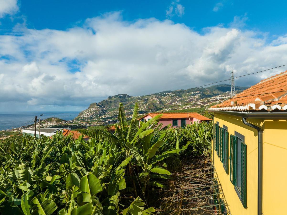 Casa D'Avo Celina Villa Funchal  Eksteriør bilde